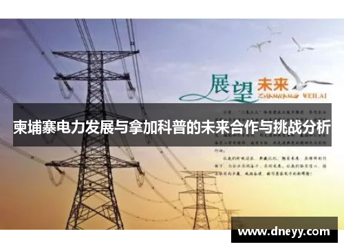 柬埔寨电力发展与拿加科普的未来合作与挑战分析
