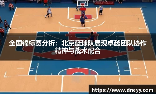 bsports登录入口